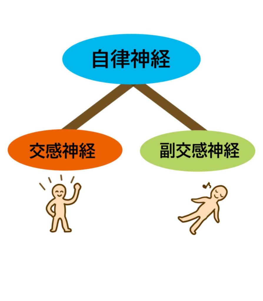 自律神経と精神のバランスを整骨院で整える